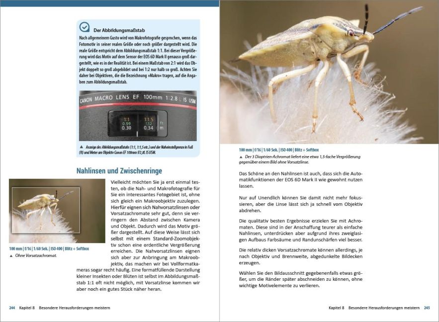 InsideView 11