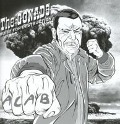 Cover-Bild zum Titel 'Built for destruction' von 'The Gonads'