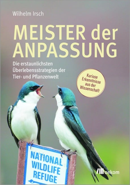 Meister der Anpassung - Wilhelm Irsch