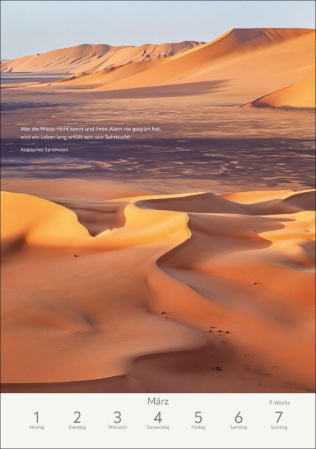 InsideView 5