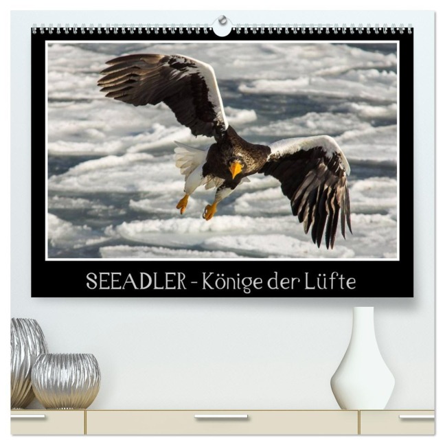 Seeadler - Könige der Lüfte (hochwertiger Premium Wandkalender 2026 DIN A2 quer), Kunstdruck in Hochglanz - Thomas Schwarz Fotografie