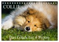 Collie - Das Glück hat 4 Pfoten (Tischkalender 2024 DIN A5 quer), CALVENDO Monatskalender - Sigrid Starick