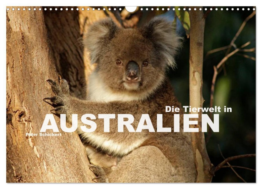 Die Tierwelt in Australien (Wandkalender 2026 DIN A3 quer), CALVENDO Monatskalender - Peter Schickert
