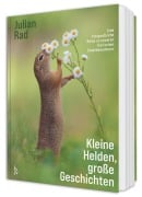 Cover-Bild zum Titel 'Kleine Helden - große Geschichten' von 'Julian Rad, Angelika Lang'