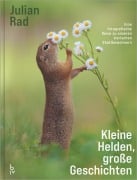 Cover-Bild zum Titel 'Kleine Helden - große Geschichten' von 'Julian Rad, Angelika Lang'