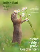 Cover-Bild zum Titel 'Kleine Helden - große Geschichten' von 'Julian Rad, Angelika Lang'