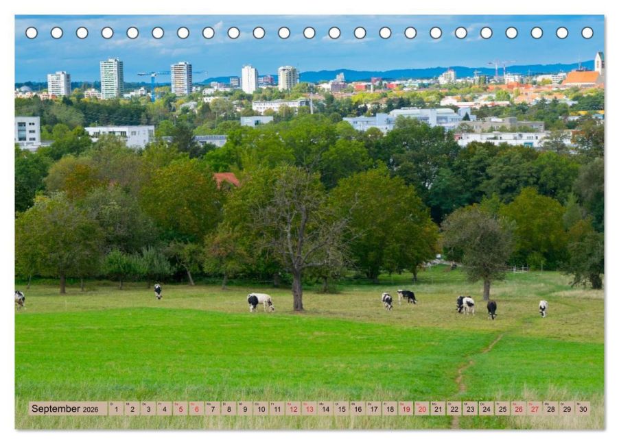 InsideView 14