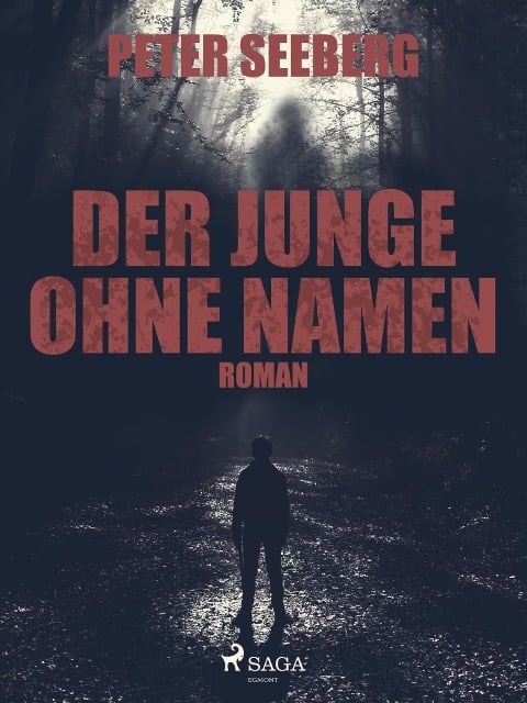 Der Junge ohne Namen - Peter Seeberg