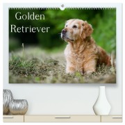 Cover-Bild zum Titel 'Golden Retriever (hochwertiger Premium Wandkalender 2026 DIN A2 quer), Kunstdruck in Hochglanz' von 'Nicole Noack'