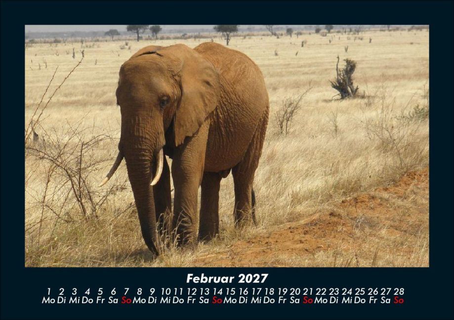 InsideView 6
