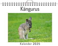 Cover-Bild zum Titel 'Kängurus' von 'Ben Schwarz'