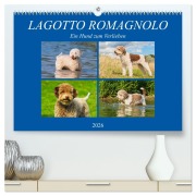 Cover-Bild zum Titel 'Lagotto Romagnolo - Ein Hund zum Verlieben (hochwertiger Premium Wandkalender 2026 DIN A2 quer), Kunstdruck in Hochglanz' von ''