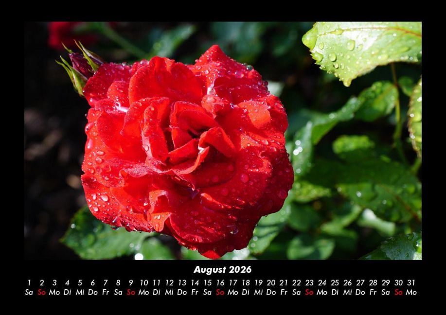 InsideView 12