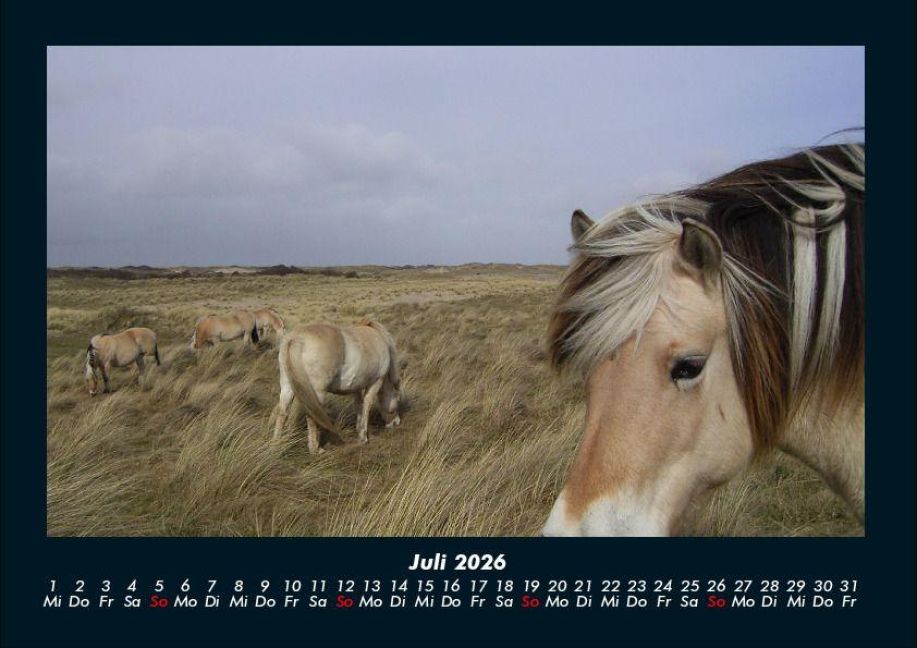 InsideView 11