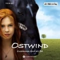 Cover-Bild zum Titel 'Ostwind' von 'Kristina Magdalena Henn, Lea Schmidbauer'