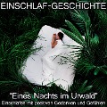 Cover-Bild zum Titel 'Einschlaf-Geschichte - Eines Nachts im Urwald' von 'Raphael Kempermann, Chakratunes'
