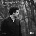 Cover-Bild zum Titel 'Concertos Without Orchestra' von 'Salih Can Gevrek'