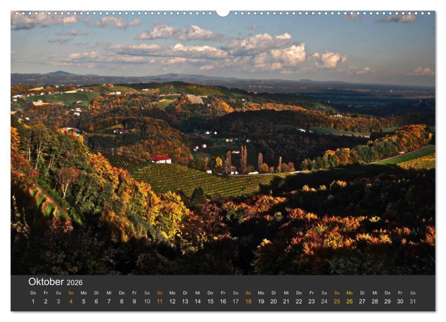 InsideView 1