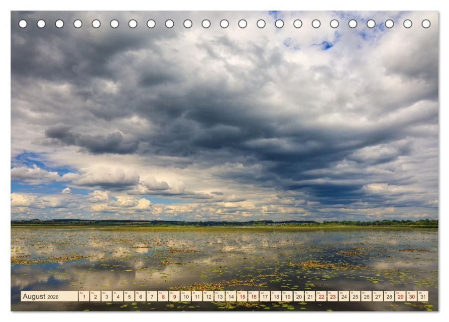 InsideView 13