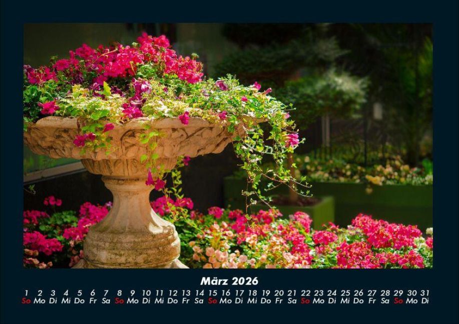 InsideView 7