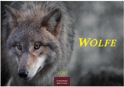 Cover-Bild zum Titel 'Wölfe Kalender 2027 - Wandkalender | Fotokalender Tierkalender 24x35cm - . mit faszinierenden Wolf-Motiven,' von ''