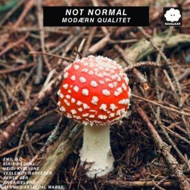 Mod'rn Qualitet - Not Normal