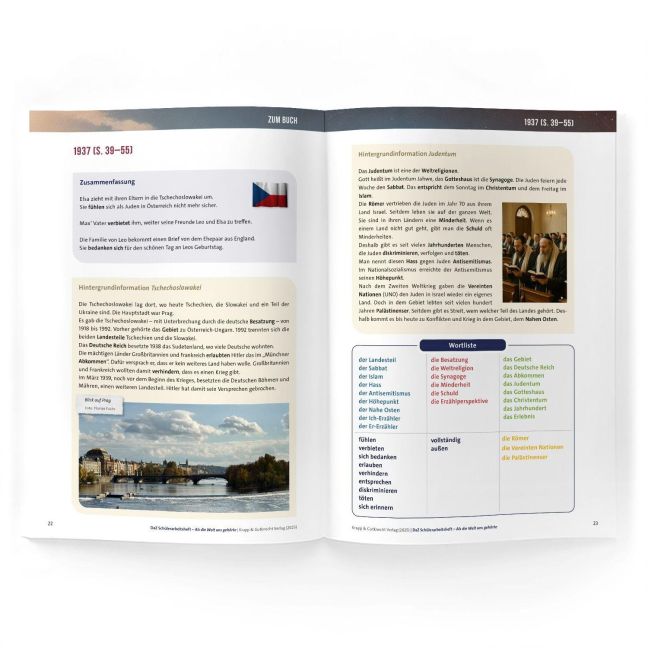 InsideView 6