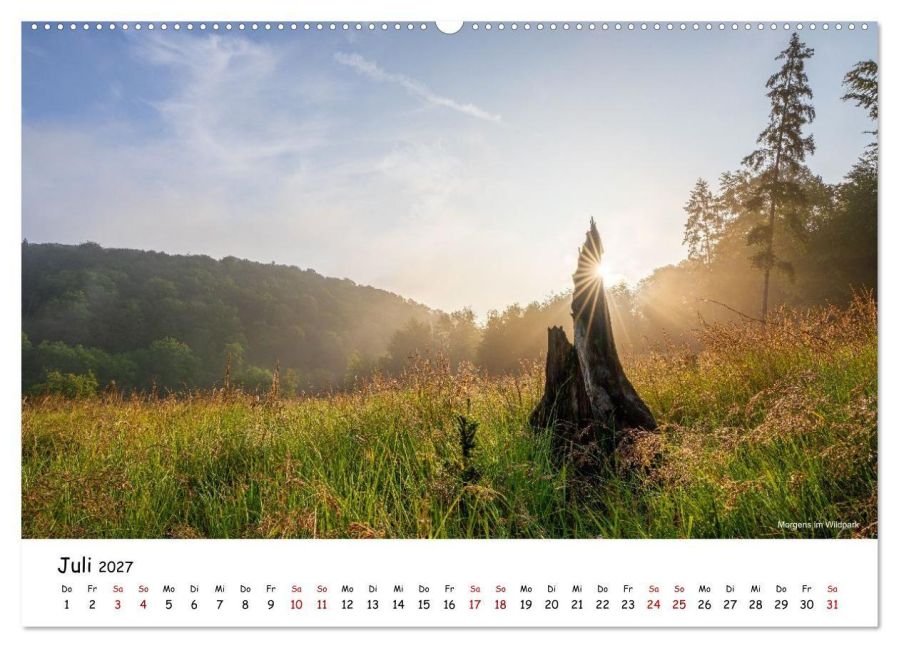 InsideView 11