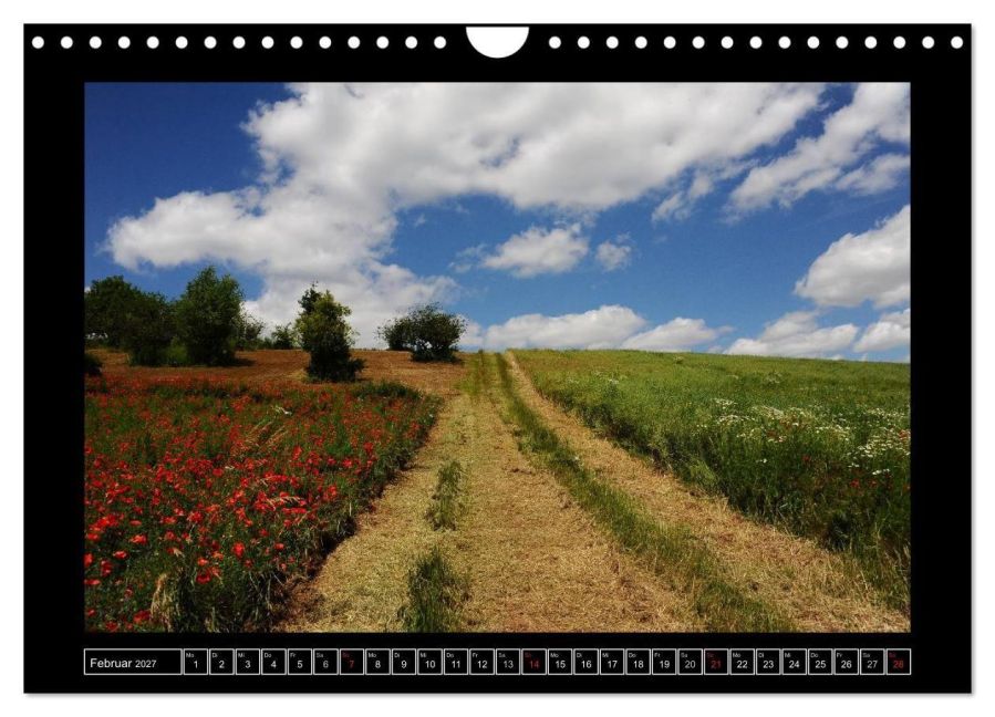 InsideView 7