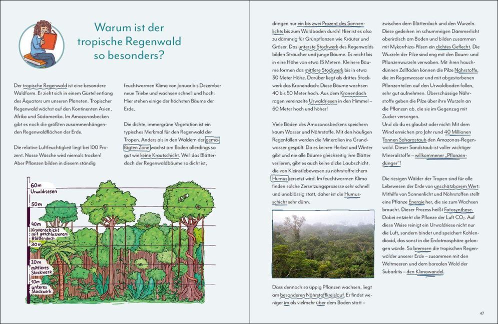 InsideView 2