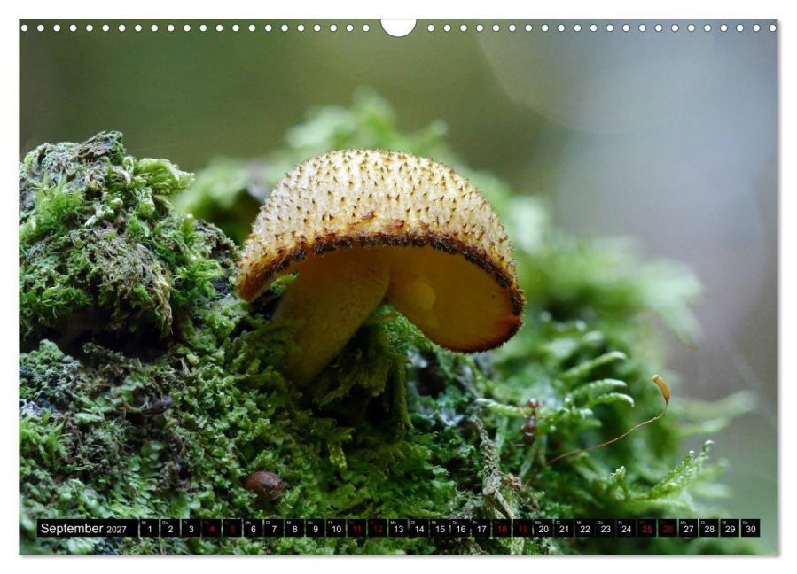 InsideView 14