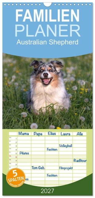 Familienplaner 2027 - Australian Shepherd mit 5 Spalten (Wandkalender, 21 x 45 cm) CALVENDO - Annett Mirsberger Www. Tierpfoto. De