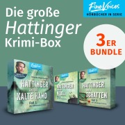 Cover-Bild zum Titel 'Die große Hattinger Krimi Box' von 'Thomas Bogenberger'