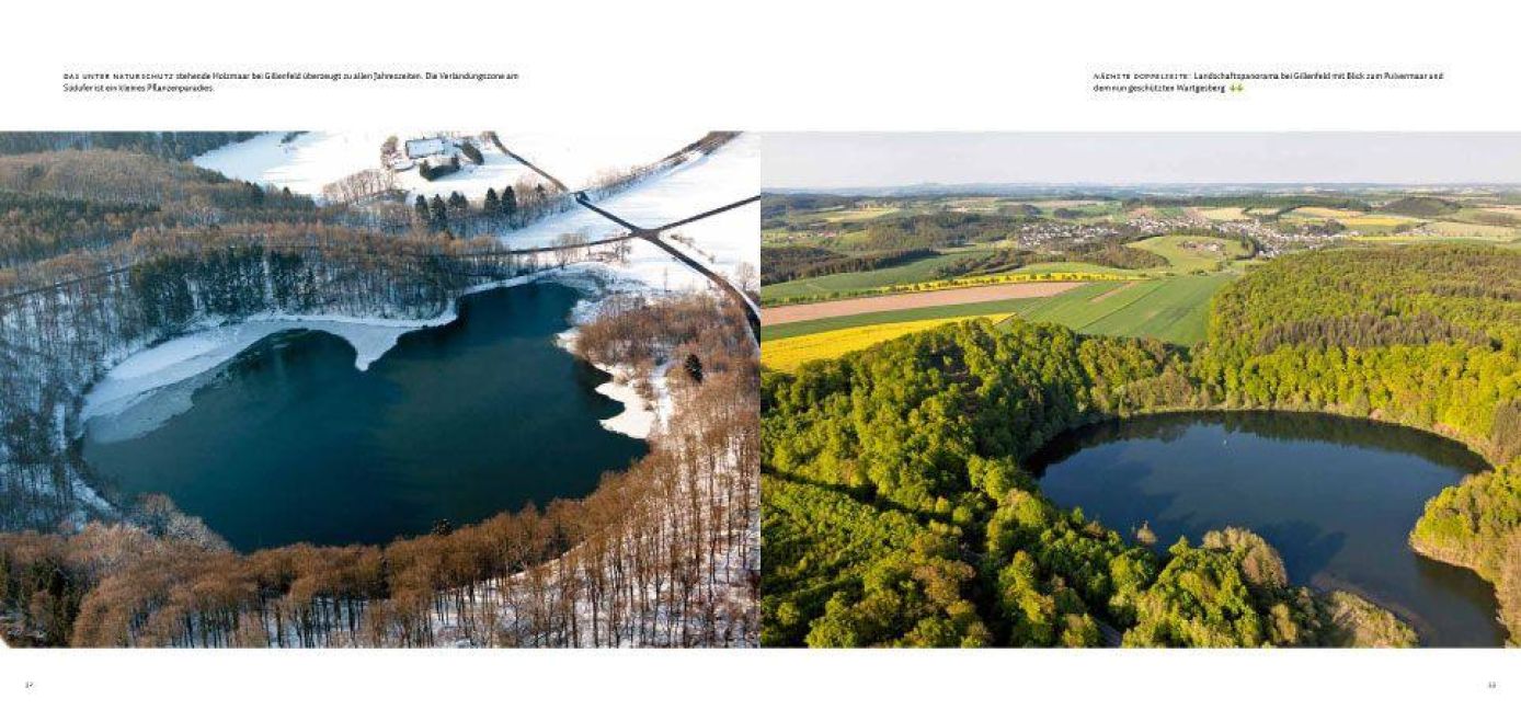 InsideView 5
