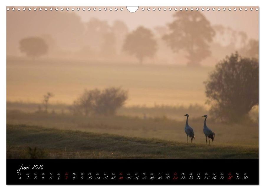 InsideView 11