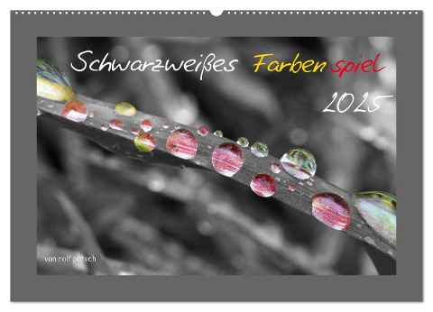 Schwarzweißes Farbenspiel 2025 / AT Version (Wandkalender 2025 DIN A2 quer), CALVENDO Monatskalender - Rolf Pötsch