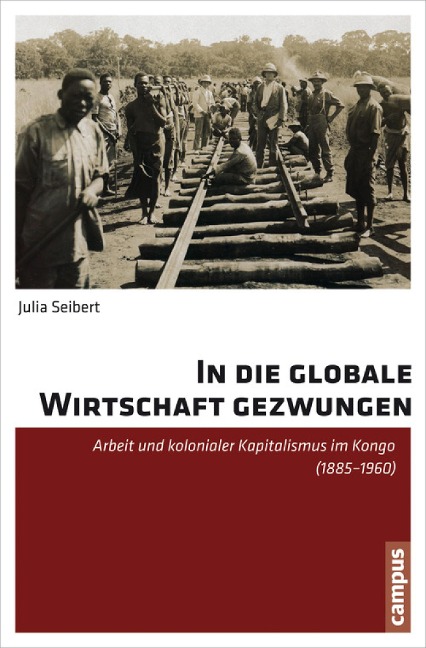 In die globale Wirtschaft gezwungen - Julia Seibert