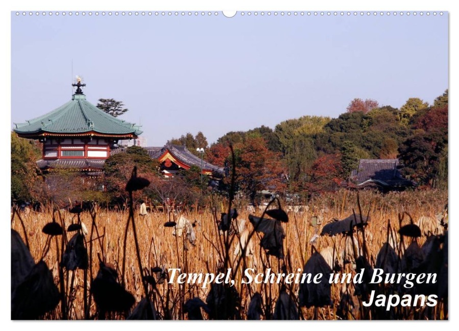 Tempel, Schreine und Burgen Japans (Wandkalender 2026 DIN A2 quer), CALVENDO Monatskalender - Roland Irlenbusch