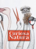 Cover-Bild zum Titel 'Curiosa natura' von 'Florence Guiraud'