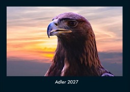 Cover-Bild zum Titel 'Adler 2027 Fotokalender DIN A4' von 'Tobias Schmitt, Kevin Heber'