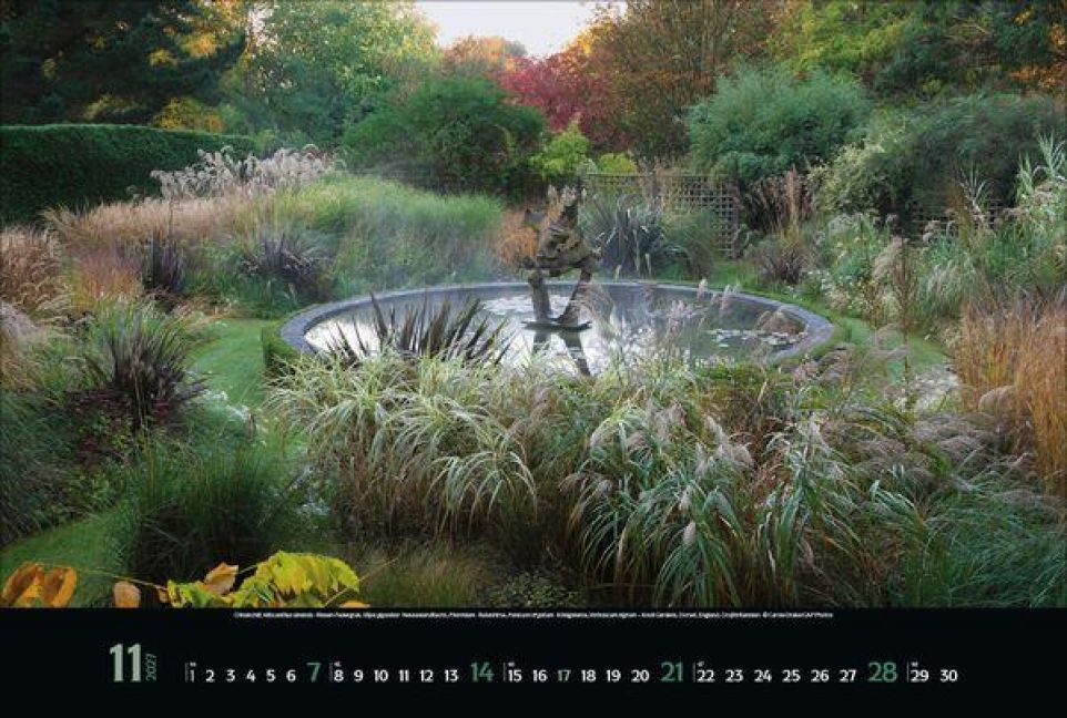 InsideView 11