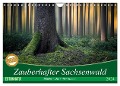 Zauberhafter Sachsenwald (Wandkalender 2024 DIN A4 quer), CALVENDO Monatskalender - Carsten Meyerdierks