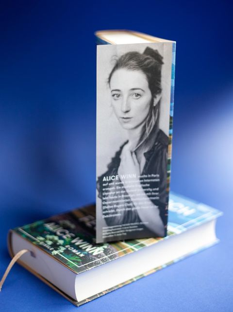 InsideView 2