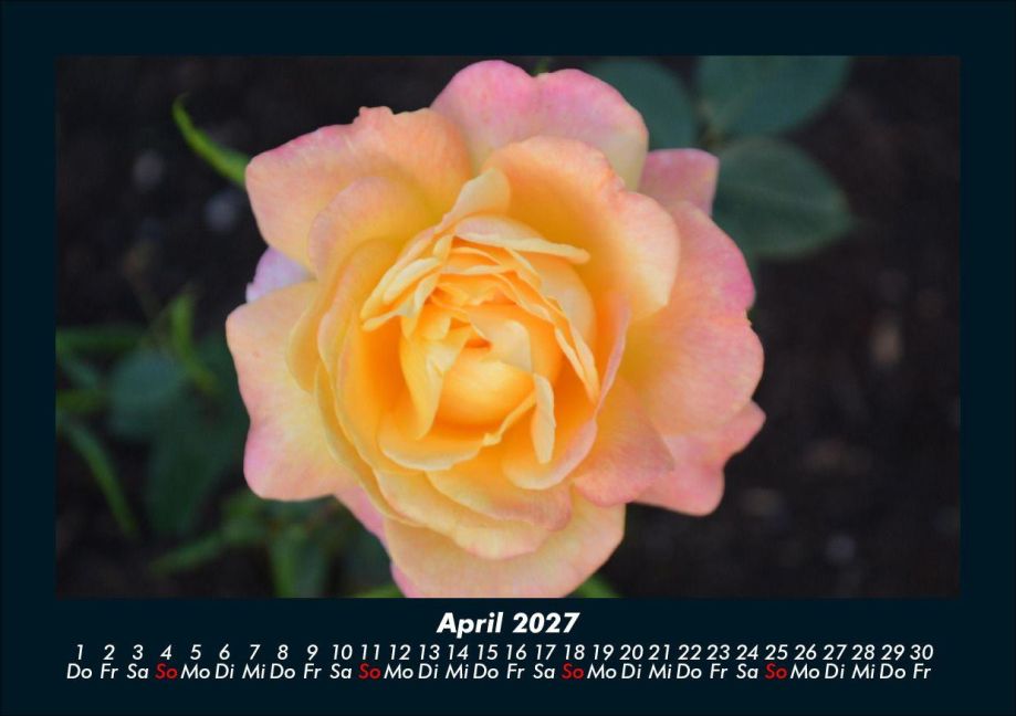 InsideView 8
