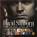 Cover-Bild zum Titel 'Anything You Want-Warner/Reprise/Elektra Years' von 'David Sanborn'
