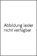 Cover-Bild zum Titel 'Codifying Cyberspace' von 'Damian Tambini, Chris Marsden, Danilo Leonardi'