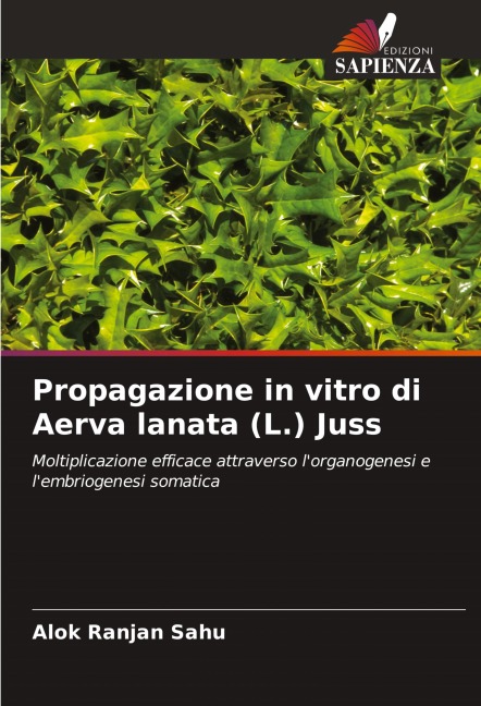 Propagazione in vitro di Aerva lanata (L.) Juss - Alok Ranjan Sahu