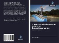 Cover-Bild zum Titel 'Illusies van Wokeness en Westerse Stedenbouwkunde' von 'Tom Kauko'