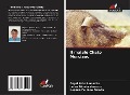 Cover-Bild zum Titel 'Il maiale Chato Murciano' von 'Angel Poto Remacha, Laura Almela Veracruz, Begoña Peinado Ramón'