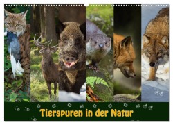 Tierspuren in der Natur (Wandkalender 2026 DIN A2 quer), CALVENDO Monatskalender - Johann Schörkhuber